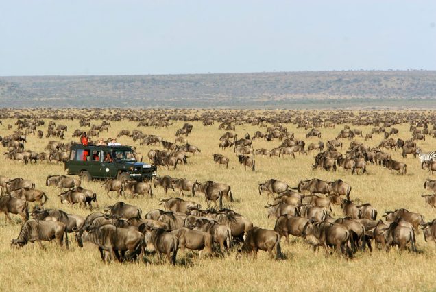 Serengeti National Park photo 3