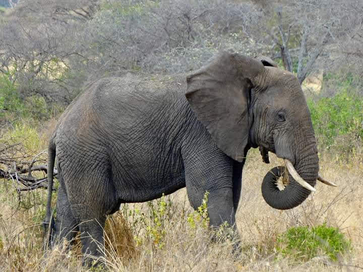 Arusha National Park