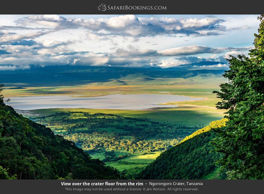 Ngorongoro Creter photo 1